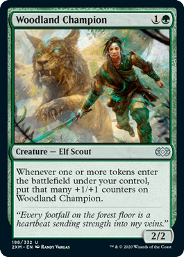 Campeã da Mata / Woodland Champion