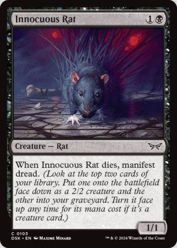 Rato Inócuo / Innocuous Rat