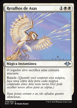 Retalhos de Asas / Wing Shards