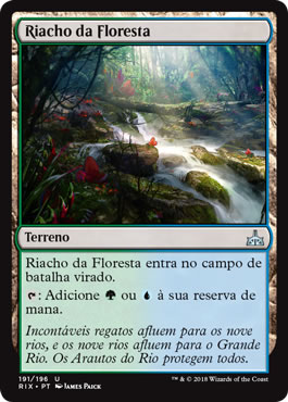 Riacho da Floresta / Woodland Stream