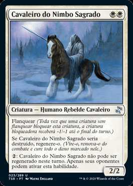 Cavaleiro do Nimbo Sagrado / Knight of the Holy Nimbus