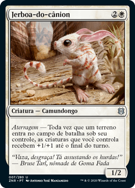 Jerboa-do-cânion